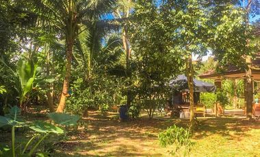 4 Bedroom House for sale in Bang Luek, Chumphon