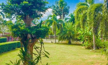 4 Bedroom House for sale in Bang Luek, Chumphon