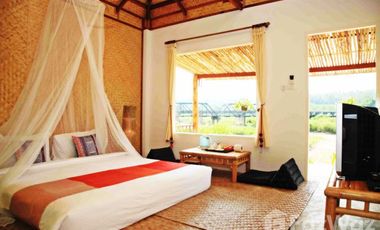 13 Bedroom Hotel for sale in Mae Hi, Mae Hong Son