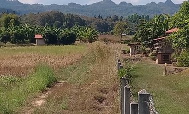 2 Bedroom House for sale in Wang Nuea, Lampang
