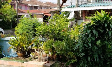 3 Bedroom House for rent at Imumporn 10