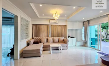 4 Bedroom House for rent in Ban Du, Chiang Rai