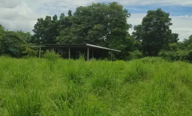 2 Bedroom House for sale in Khok Sung, Chaiyaphum