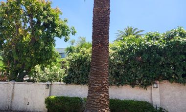 EDUARDO CASTILLO VELAZCO, PLAZA ÑUÑOA