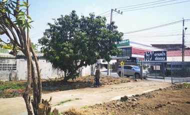 2 Bedroom House for rent in Phra Prathon, Nakhon Pathom
