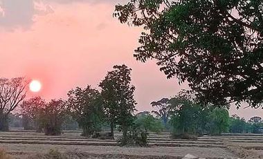 3 Bedroom Villa for sale in Bu Ruesi, Surin