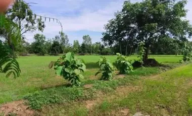 3 Bedroom Villa for sale in Bu Ruesi, Surin