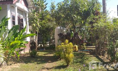 Chiang Rai House for Rent