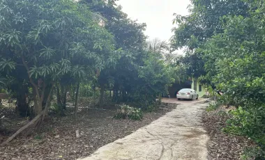5 Bedroom House for sale in Tha Bua, Phichit