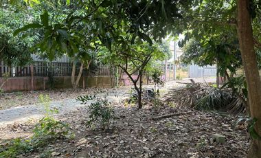 5 Bedroom House for sale in Tha Bua, Phichit