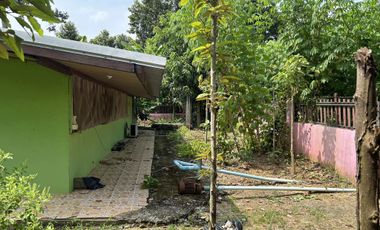 5 Bedroom House for sale in Tha Bua, Phichit