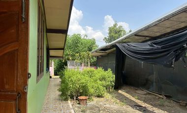 5 Bedroom House for sale in Tha Bua, Phichit