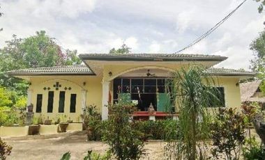 4 Bedroom House for sale in Ban Khwao, Chaiyaphum
