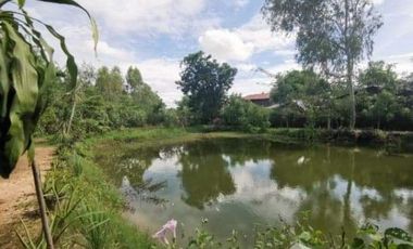 4 Bedroom House for sale in Ban Khwao, Chaiyaphum