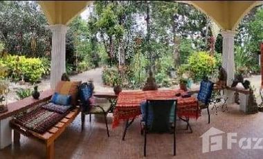 4 Bedroom House for sale in Ban Khwao, Chaiyaphum