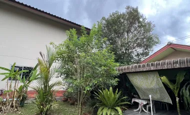 1 Bedroom House for rent in Rop Wiang, Chiang Rai