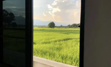 3 Bedroom House for sale in Mae Ka, Phayao