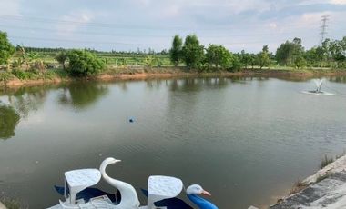 7 Bedroom Warehouse for sale in Krok Sombun, Prachin Buri