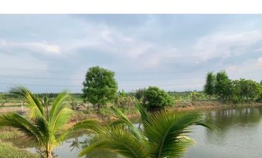 7 Bedroom Warehouse for sale in Krok Sombun, Prachin Buri