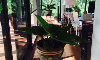 3 Bedroom House for sale in Khlong Nam Sai, Sa Kaeo
