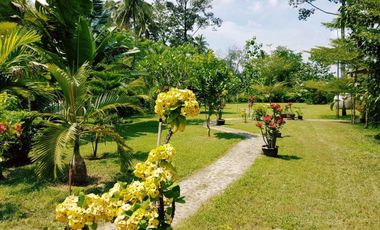 3 Bedroom House for sale in Khlong Nam Sai, Sa Kaeo