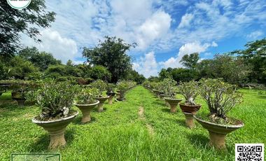 4 Bedroom House for sale in Ban Kaeng, Uttaradit