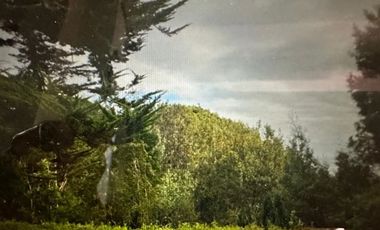 Casa en Arriendo en Playa Chica NIEBLA