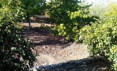 Casa en Venta en Condominio Hacienda Chacabuco