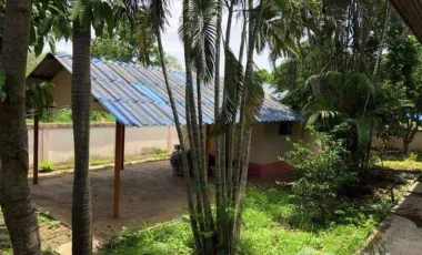 4 Bedroom House for sale in Lat Ya, Kanchanaburi