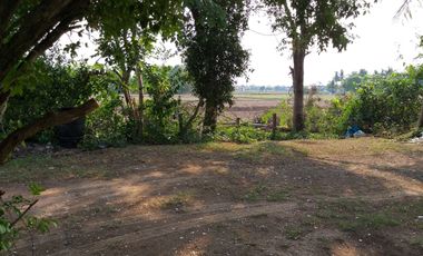 8 Bedroom House for sale in Nok Mueang, Surin