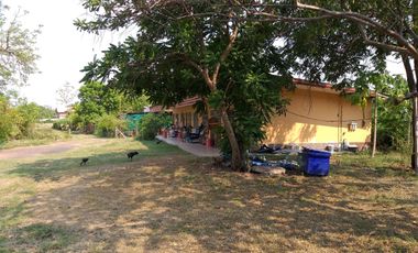 8 Bedroom House for sale in Nok Mueang, Surin