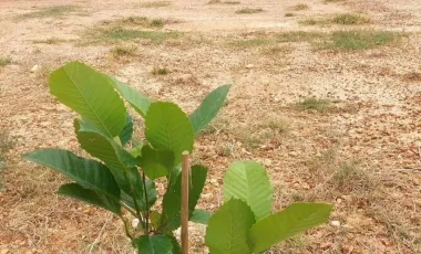 3 Bedroom House for sale in Ban Mai Khlong Khian, Uthai Thani