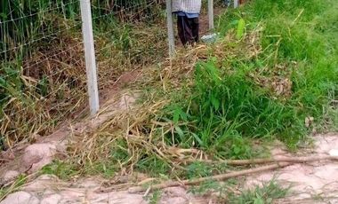 3 Bedroom House for sale in Ban Mai Khlong Khian, Uthai Thani
