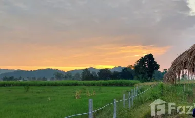 3 Bedroom House for sale in Ban Mai Khlong Khian, Uthai Thani