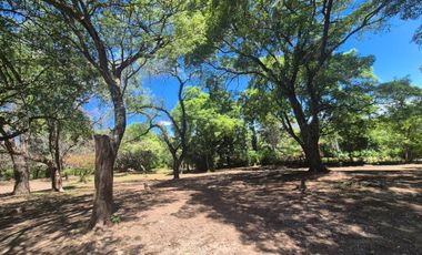 VENTA CASONA LTE 6500M2 VILLA ANI MI LA GRANJA E53