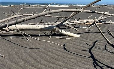 Casa en Venta en Constitución