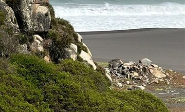 Casa en Venta en Constitución