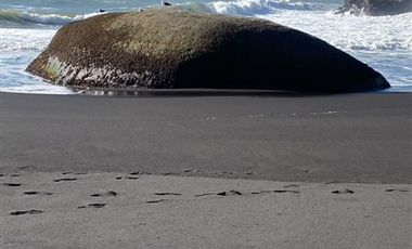 Casa en Venta en Constitución