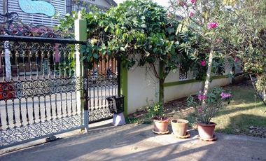 6 Bedroom House for sale in Kut Pong, Loei