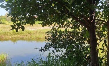 1 Bedroom House for sale in Ban Pet, Khon Kaen