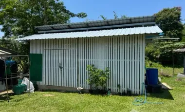 Land for sale in Tha Khao Plueak, Chiang Rai