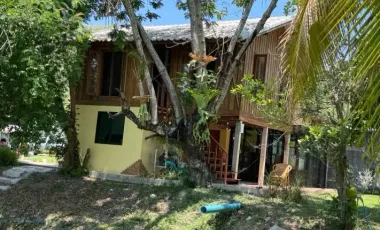 Land for sale in Tha Khao Plueak, Chiang Rai