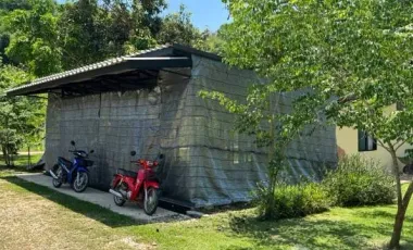 Land for sale in Tha Khao Plueak, Chiang Rai