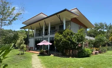 Land for sale in Tha Khao Plueak, Chiang Rai