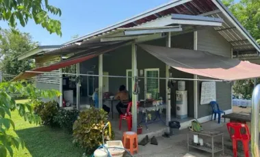 Land for sale in Tha Khao Plueak, Chiang Rai