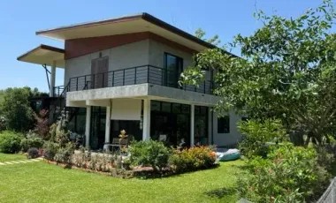 Land for sale in Tha Khao Plueak, Chiang Rai