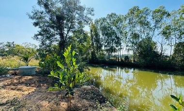 3 Bedroom House for sale in Dok Khamtai, Phayao