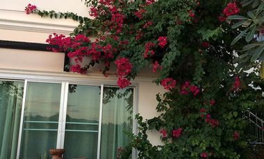 6 Bedroom House for sale in Mueang, Loei