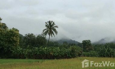 6 Bedroom House for sale in Mueang, Loei