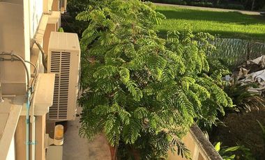 6 Bedroom House for sale in Mueang, Loei
